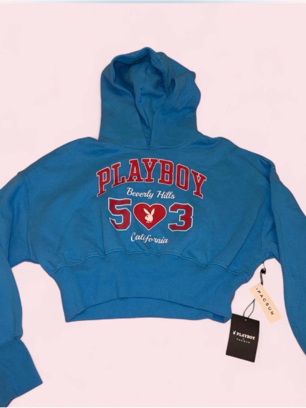 Pacsun Blue Playboy cropped hoodie
